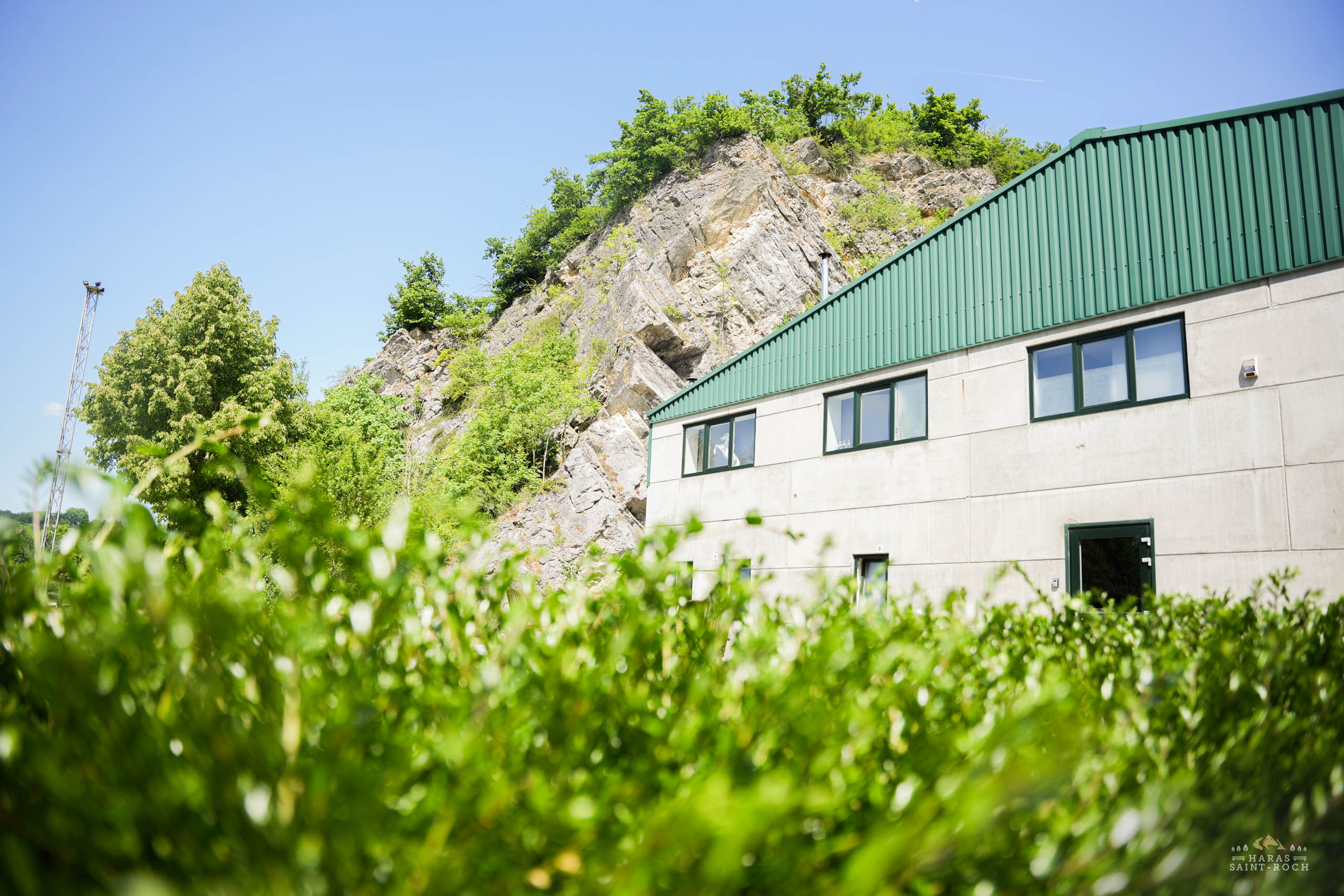 HarasSaintRoch-centre-equestre-2025-032