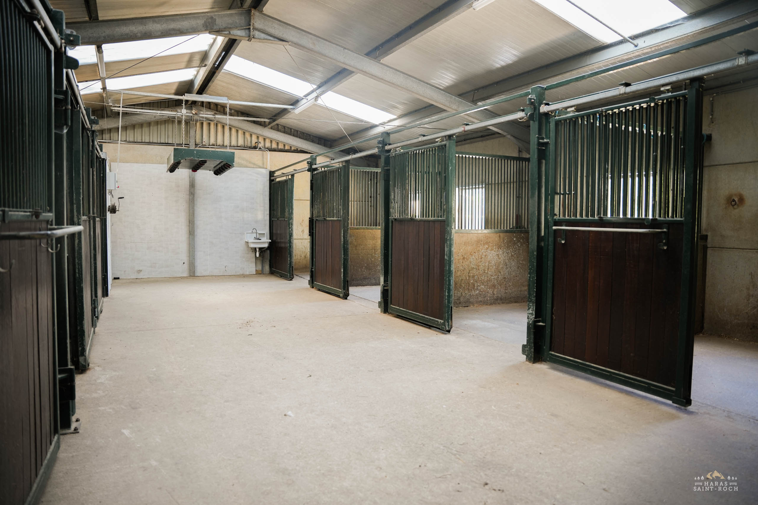 HarasSaintRoch-centre-equestre-2025-034