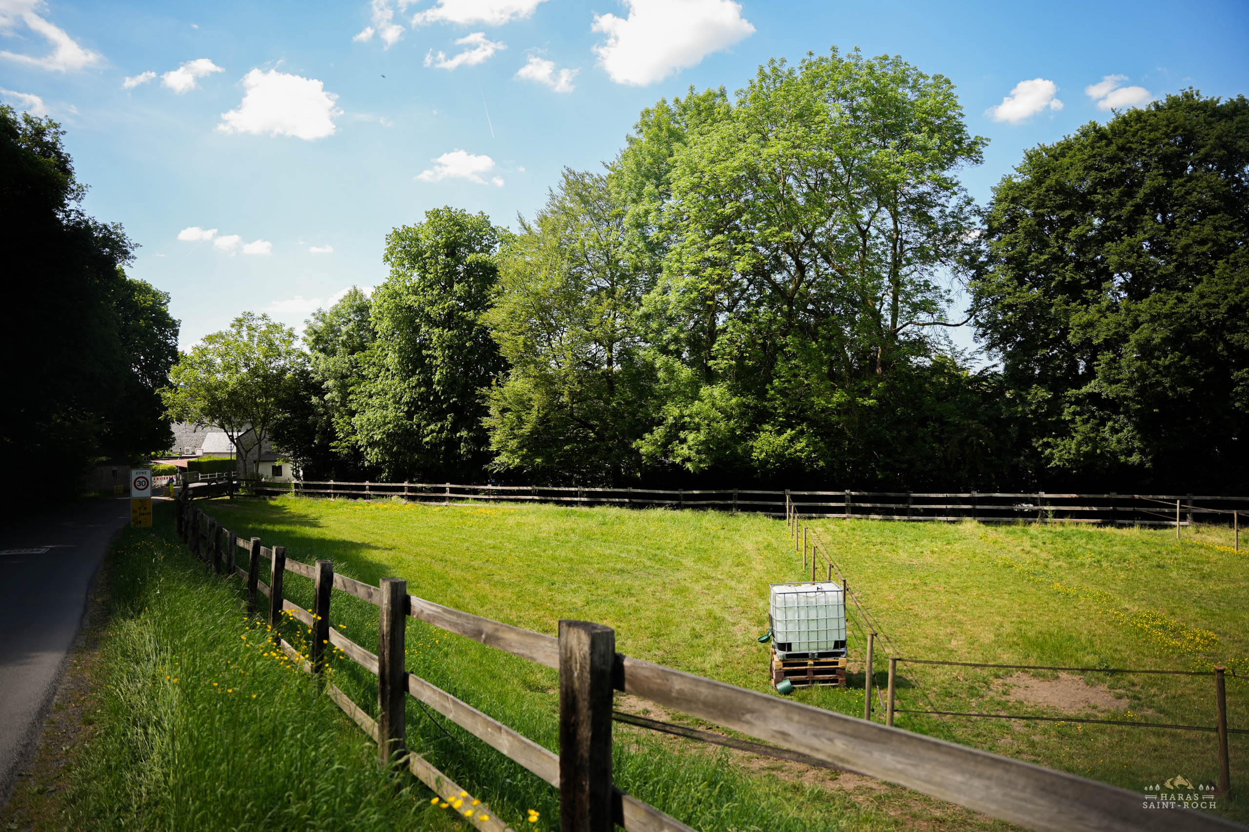 HarasSaintRoch-centre-equestre-2025-147