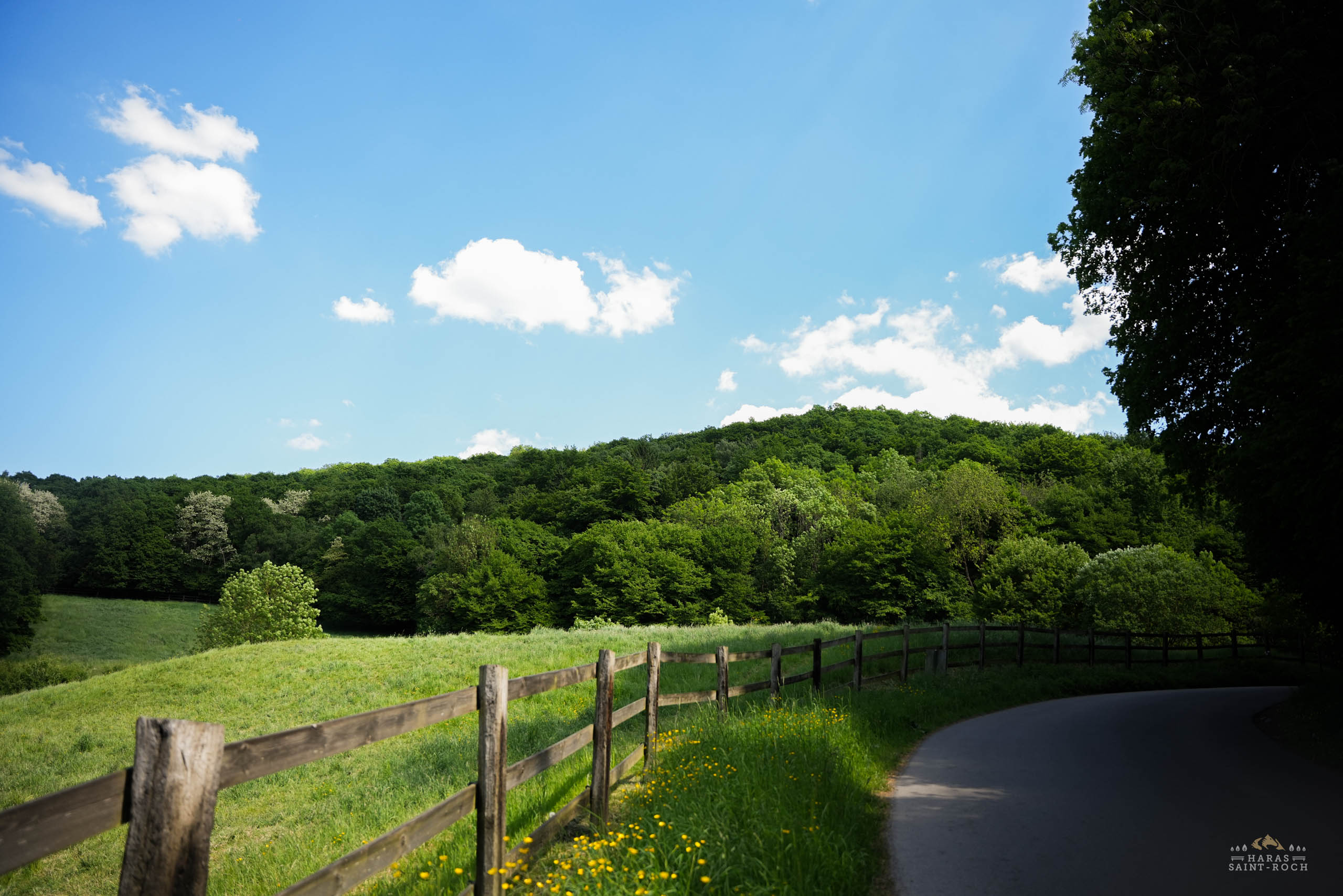 HarasSaintRoch-centre-equestre-2025-148