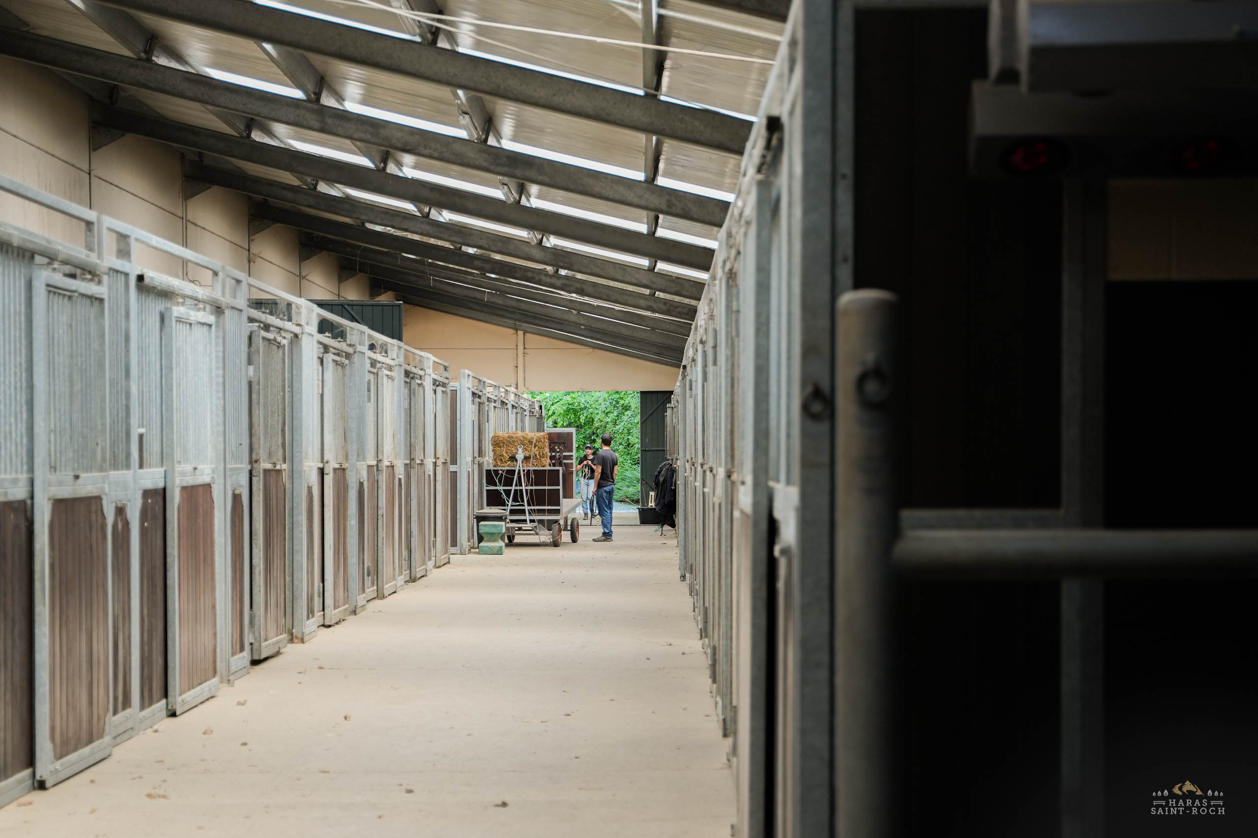 HarasSaintRoch-centre-equestre-2025-156