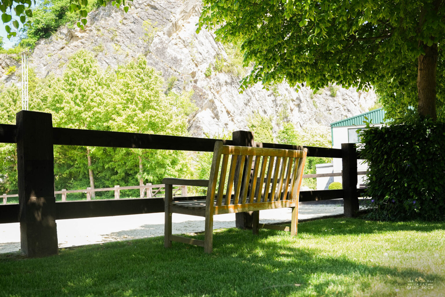 HarasSaintRoch-centre-equestre-2025-161