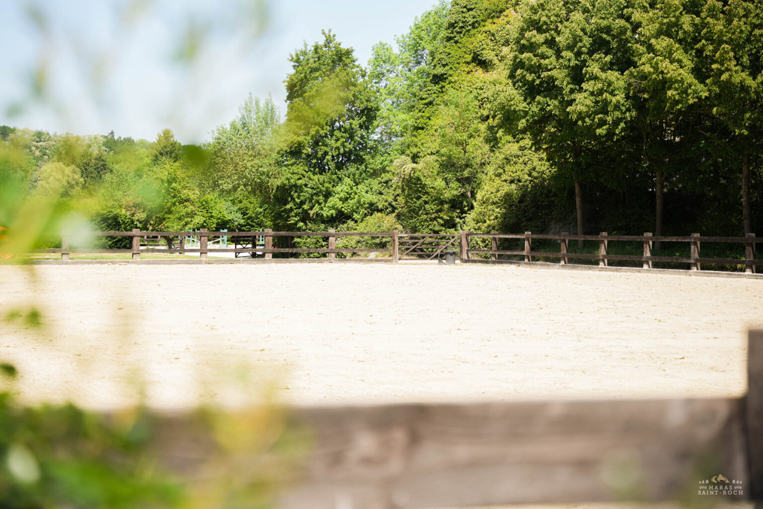 HarasSaintRoch-centre-equestre-2025-022