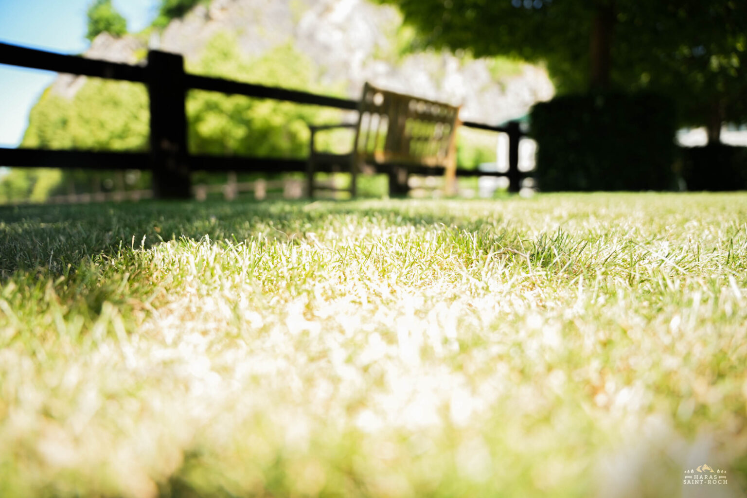 HarasSaintRoch-centre-equestre-2025-026