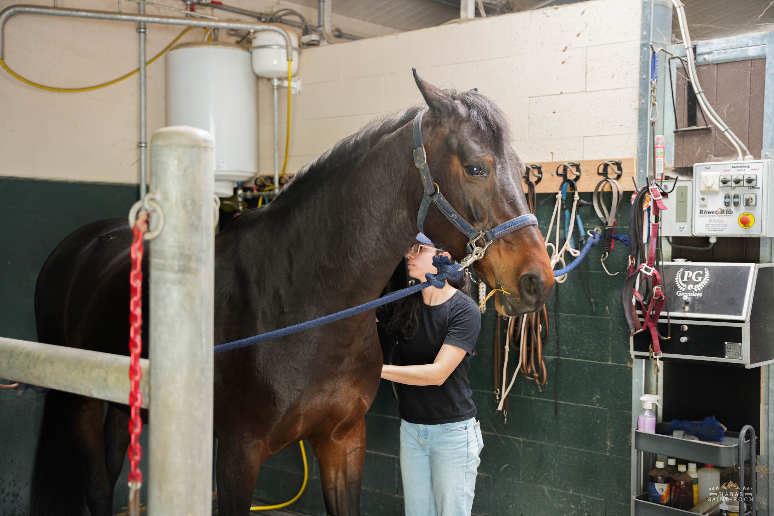 HarasSaintRoch-centre-equestre-2025-054
